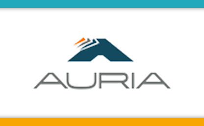 Auria Solutions Straubing